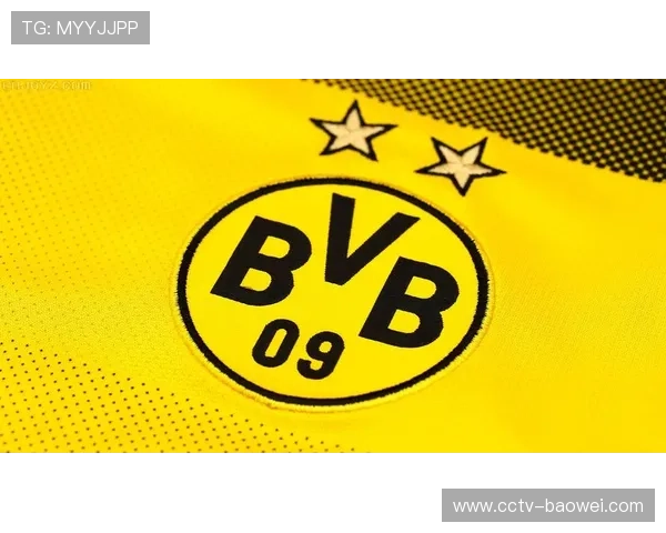 多特蒙德主场升级LED显示系统，提升观赛体验