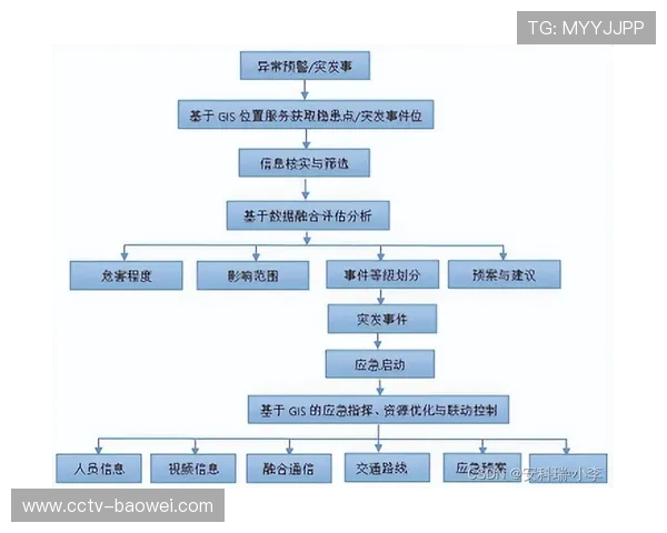 危机应对机制：意甲联赛突发事件处理流程优化